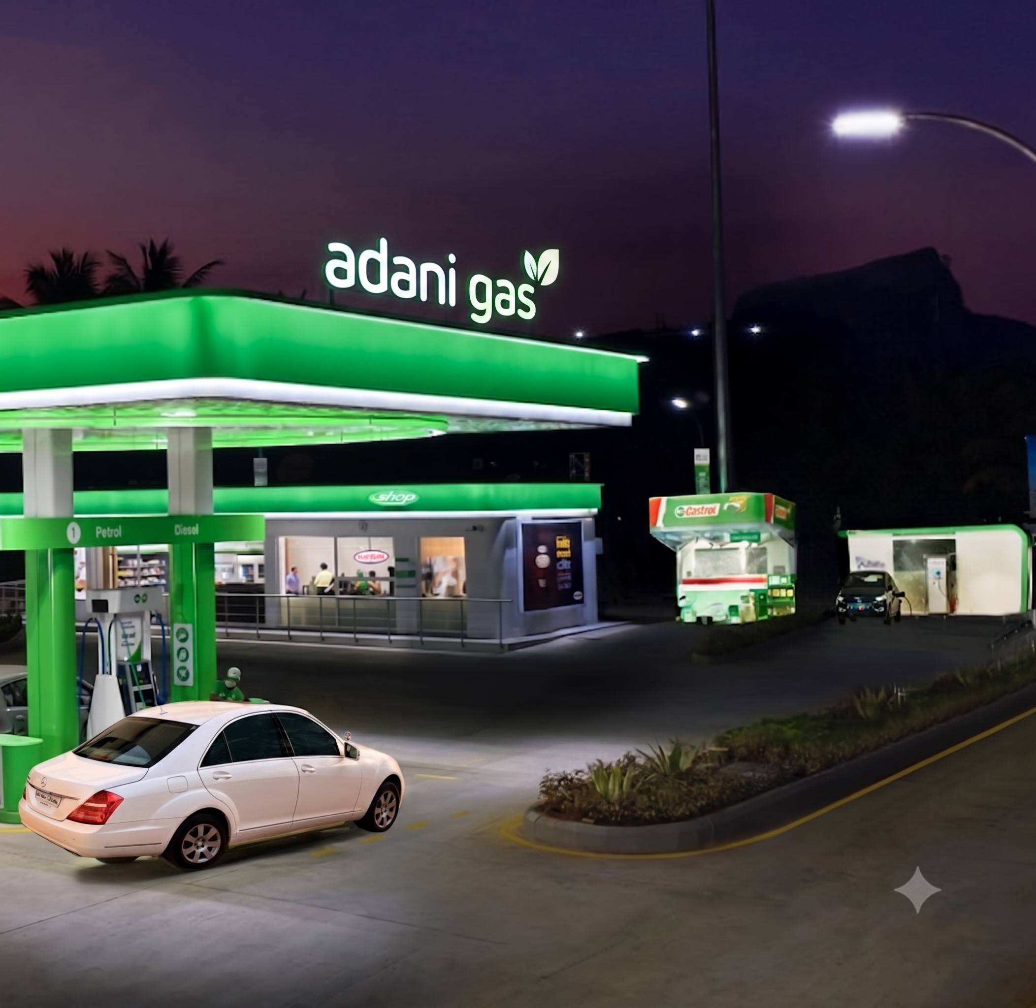 About Adani